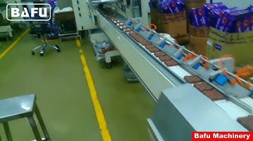 Aligner Feeder Flowpack,automated packaging of bars, automated chocolate packaging line