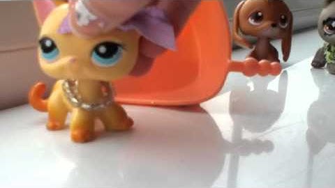 LPS "Shake It Off" Music Video ( Taylor Swift )