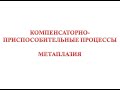 Компенсаторно-приспособительные процессы - метаплазия