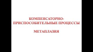 Компенсаторно-приспособительные процессы - метаплазия