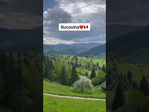 Bucovina, colt de