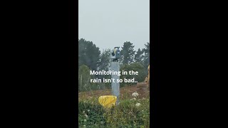 Monitoring in the rain ins't so bad 🌧️ 😄