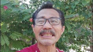 TRITUNGGALNYA ELIA MYRON - 1 Korintus 8:6. Oleh: Faahakhododo Harefa