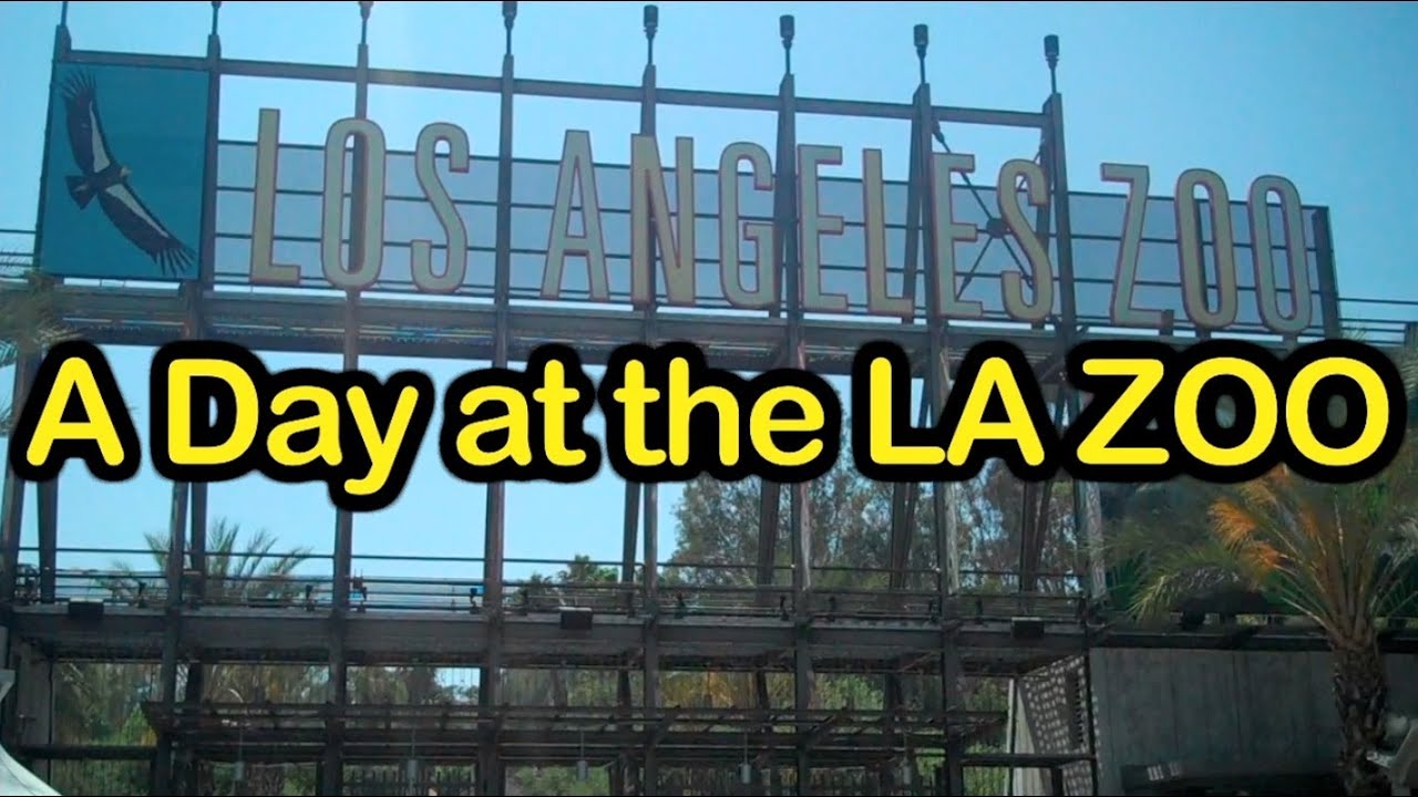 A Day at the LA Zoo YouTube