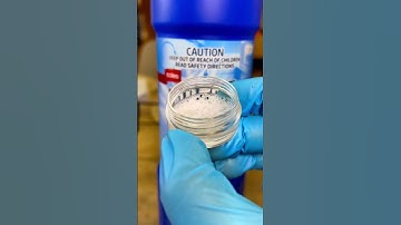 Bacteria VS Bleach under the microscope!