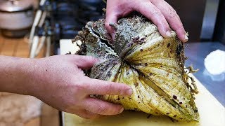 Japanese Street Food  GIANT ALIEN CLAM Sashimi Okinawa Seafood Japan