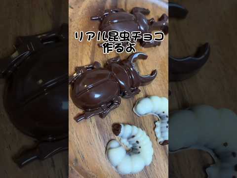 100均の型でリアル昆虫チョコ作るよ バレンタイン お菓子作り Sweets チョコレート