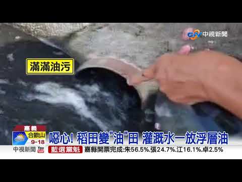 噁心! 稻田變"油"田 地主控東山鴨頭工廠亂排油水│中視新聞 20210925