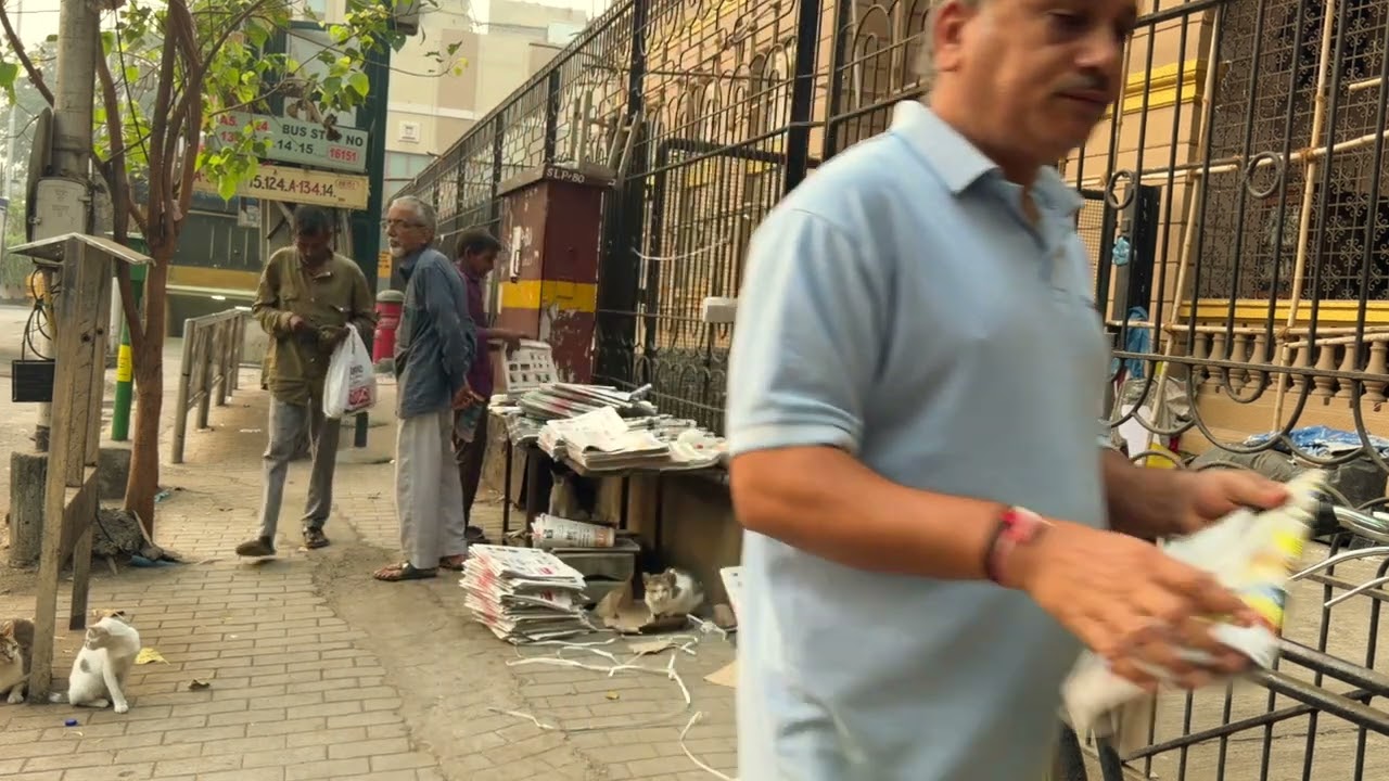 Newspaper Seller and His Cats | A Common Current | Marine Lines, Mumbai