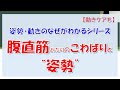 姿勢・動きのなぜがわかるシリーズ、腹直筋あたりのこわばりと“姿勢”