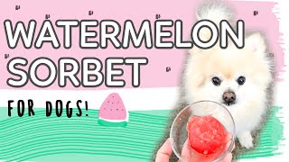 Watermelon Sorbet For Dogs \/\/ Homemade Frozen Dog Treat Recipe
