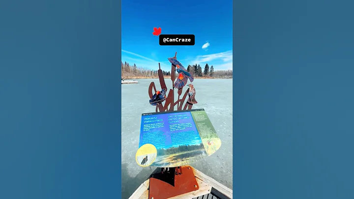 Elk island National Park, Alberta, Canada 🇨🇦 🍁🇨🇦 #canada #alberta #viral #canadadream #weather