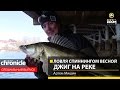 Ловля спиннингом весной. Джиг на реке. Артем Мишин. Anglers Chronicle