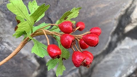 ABC TV | How To Make English Hawthorn Branch With Crepe Paper - Craft Tutorial