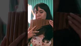 Libertango ? panflute TeodoraAlbu tango