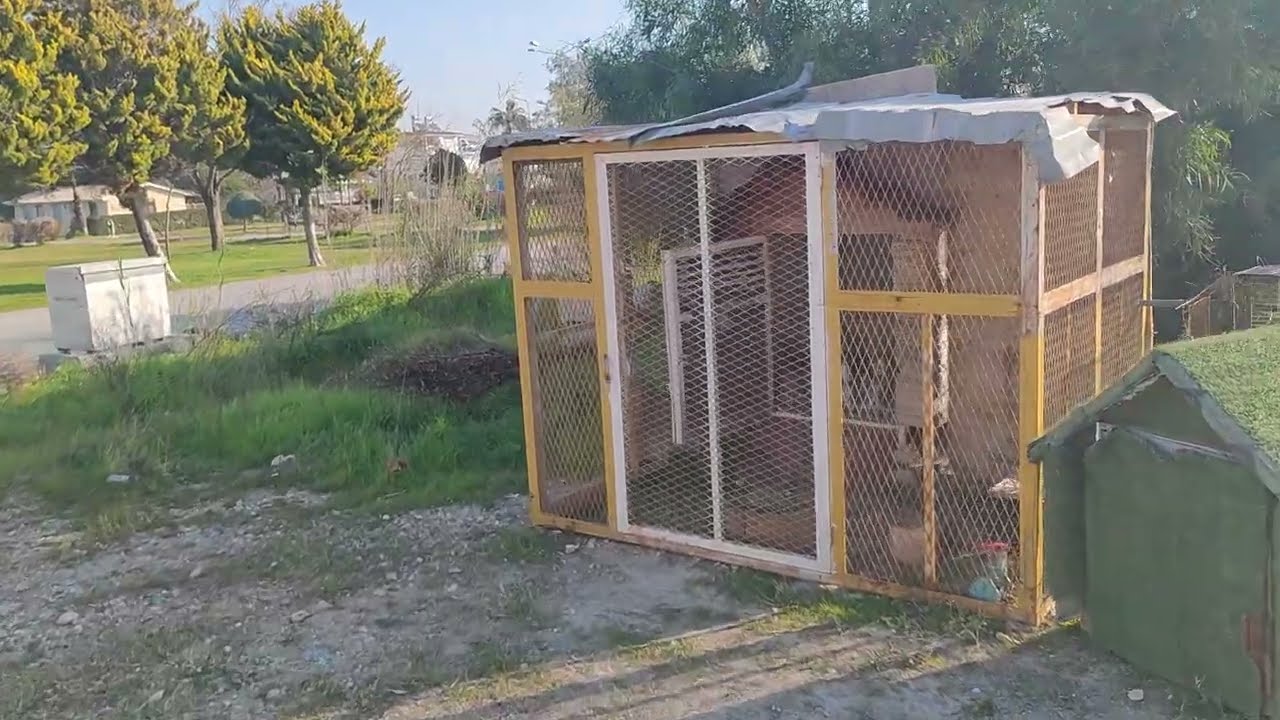 kümeste değişiklik yaptım süper oldu