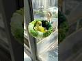 【鳥定期#88】とっておきの寝床を見つけたインコ #インコ #鳥 #かわいい #ペット