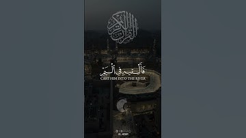 ما تيسر من سورة القصص القارئ ياسر الدوسري #اكسبلور #اكسبلور_ #راحة_نفسية #ريلز #duet #راحه_نفسيه