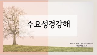 하양시민교회 수요성경강해/ 마태복음 6장 5절-8절(신8) / 오직 하나님께 집중하는 기도 / 20240522_고태환 목사