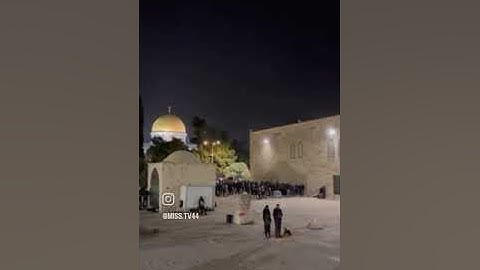 تلاوة عطرة في رحاب المسجد الأقصى