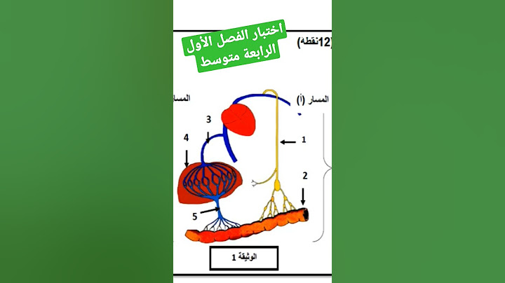 اختبار الفصل الأول للسنة الرابعة متوسط #علوم_طبيعية #الرابعة_متوسط #مراجعة #فرض