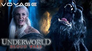 Underworld: Blood Wars | Fighting With The Nordic Vampires | Voyage