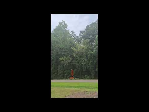 Watch Root Dr. Davis call on the down the Rain