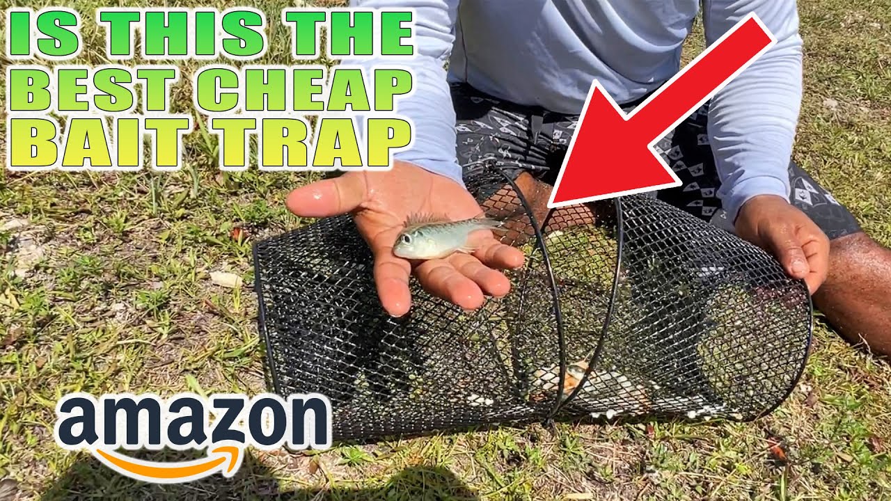 Is This the BEST Cheap BAIT TRAP on ? 