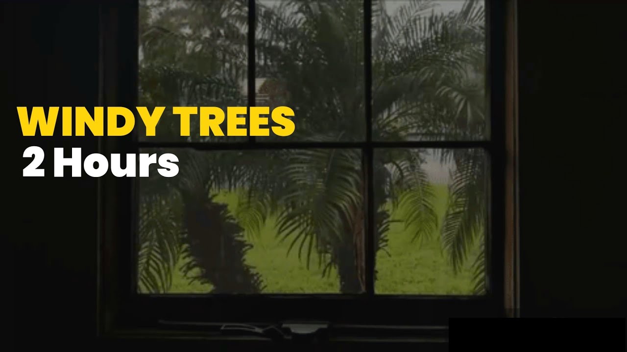 Windy Thunderstorm, Trees Blowing 2 Hours Rain Sounds for Sleep, Study ...