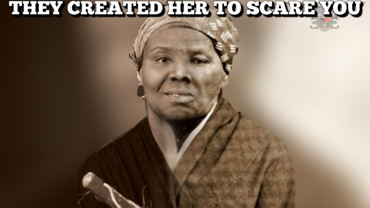 ⁣Harriet Tubman Is A Fictional Character Created By An Act Of Congress And Sarah Bradford In 1869!