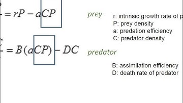 Predation and Functional Response
