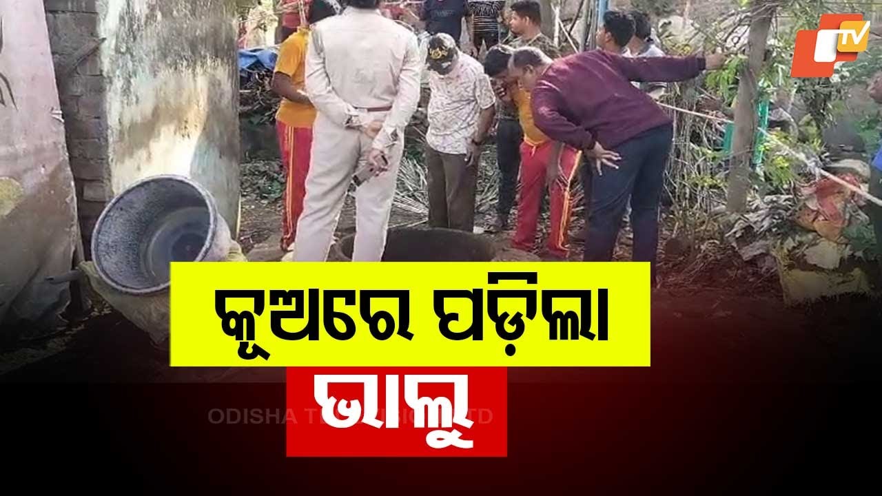 Bear Falls Into Well in Ganjam, Forest Dept Attempts Rescue