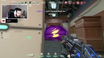 tarik gets angry at skye 💀 | tarik