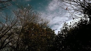 2020, thanks a bunch!