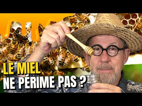 Vidéo: Pourquoi Le Miel Noir Est-il Utile ?