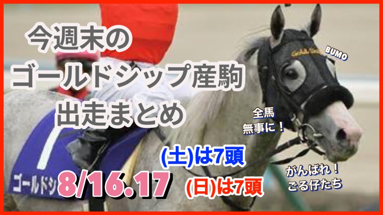 サンタの競馬　ゴールドシップ　デュラメンテ サンタの競馬 ゴールドシップ デュラメンテ ゴールドシップ産