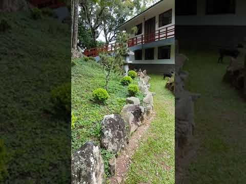✠ Templo KINKAKU-JI