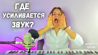 картинка: ✅ В какие резонаторы петь?  |  Куда направлять голос?
