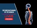 Позвоночник и осанка. Стрим Т. Сахарчук