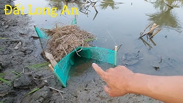 Kikkerval, Hoe zet je een kikkerval en aas op?