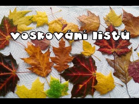 Video: Jak Vyrobit řemeslo Z Podzimního Listí