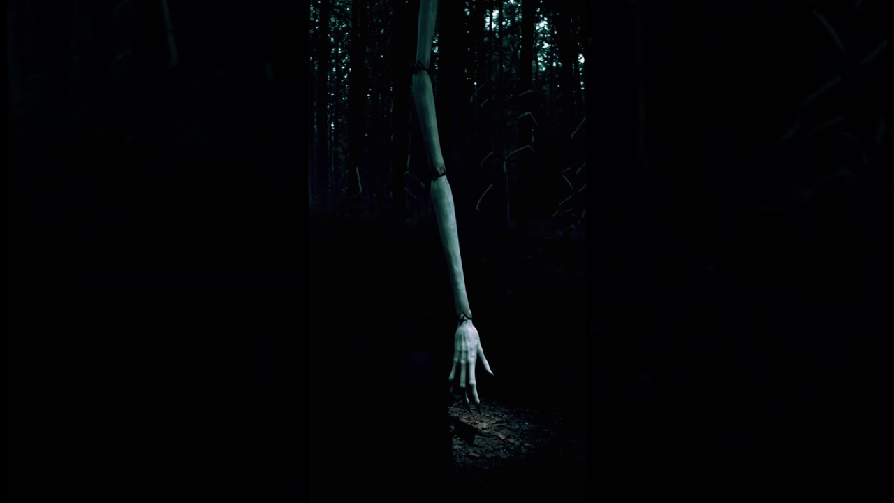 Creepy Things Inside The Forest #facts #animals #wildanimals #horror #horrorstories