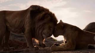 Lion King 2019 - Circle Of Life Croatian Subs & Trans
