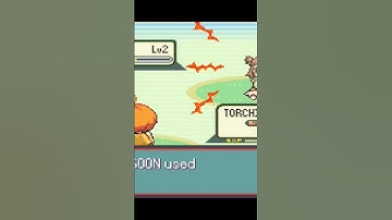 Moemon - Torchic vs Zigzagoon