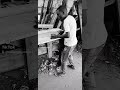 Penye Ridhiki Hapakosi Fitina Mbaya Hana Sababu 