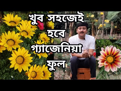 ভিডিও: Vriezia (58 ছবি): বাড়িতে Vriezia যত্ন এবং এর চাষের জটিলতা, Vriezia মিশ্রণ এবং Splenriet, উজ্জ্বল, 