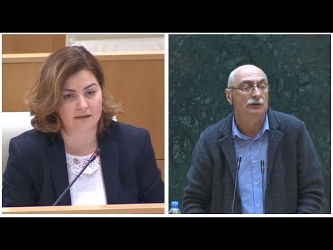 ანა ნაცვლიშვილმა ლადო კახაძეს წარბი აუწია