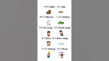 🔑 Bí kíp nhớ lâu từ vựng tiếng Hàn bằng cách học từ trái nghĩa #hoctienghan #shorts