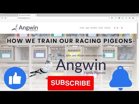 How we train