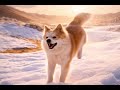 Story kids dadaji aur registan snow desert dog and old man mudykhan